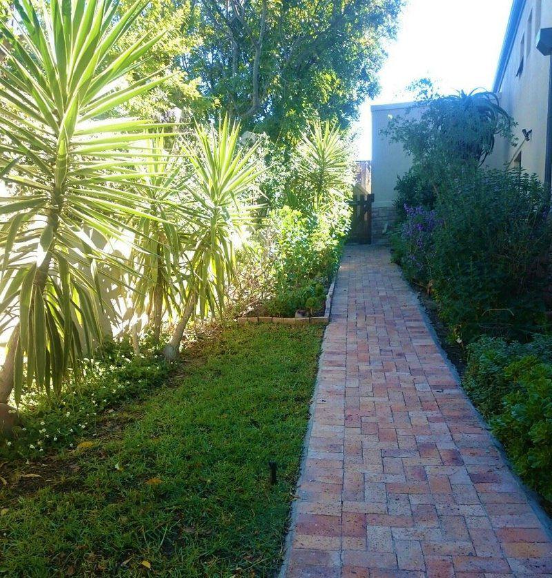 Palm Tree, Plant, Nature, Wood, Garden, Melkbosstrand Apartment, Atlantic Beach Golf Estate, Cape Town