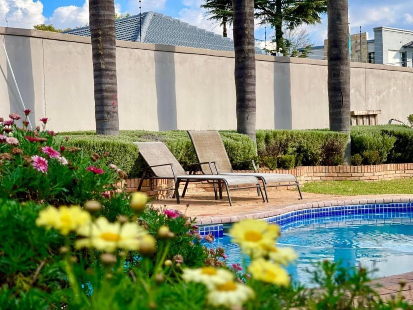 Atlantic Pearl Guest House Rivonia, Palm Tree, Plant, Nature, Wood, Garden, Swimming Pool