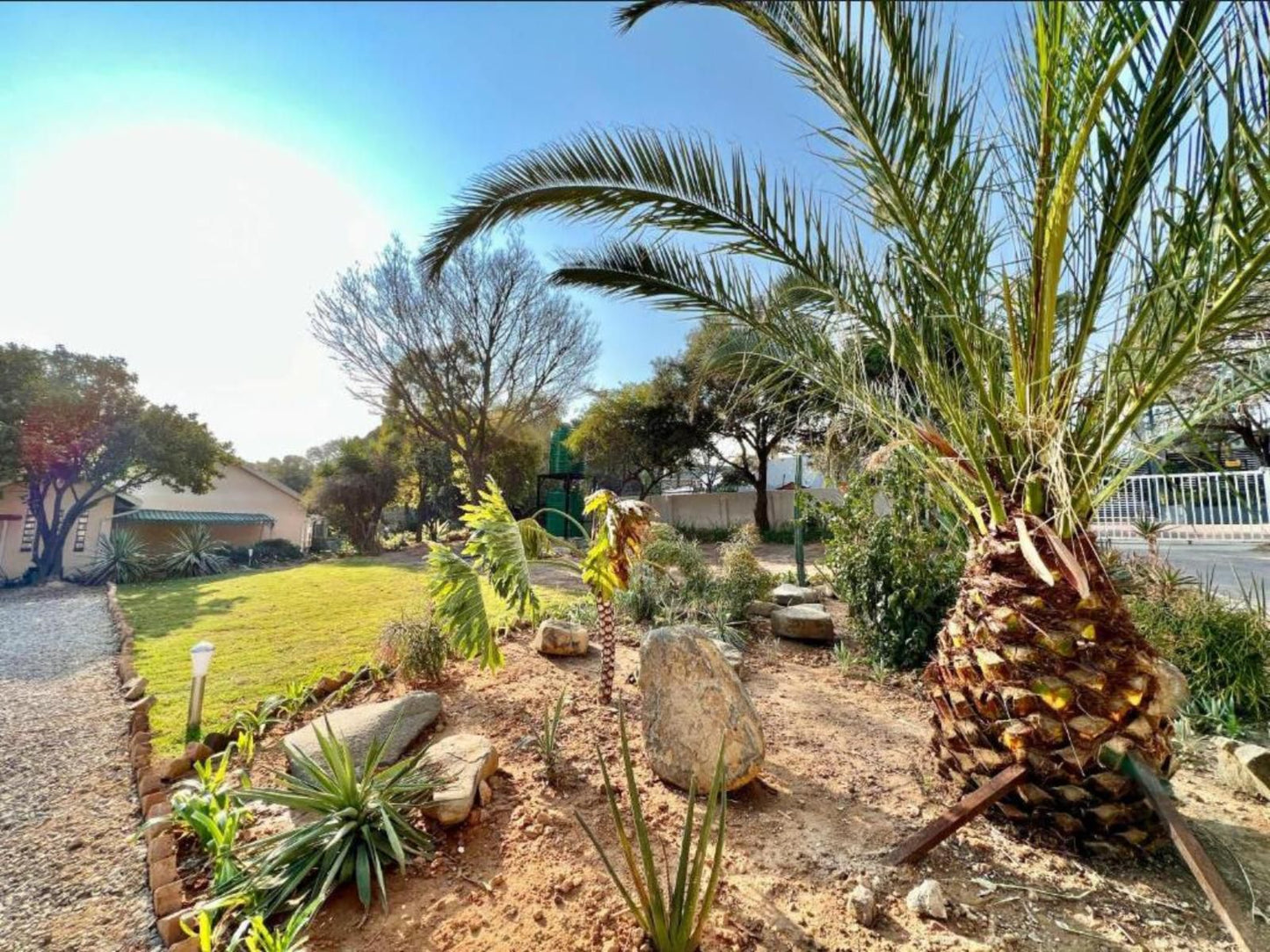 Atlantic Pearl Guest House Sandton, Palm Tree, Plant, Nature, Wood, Garden