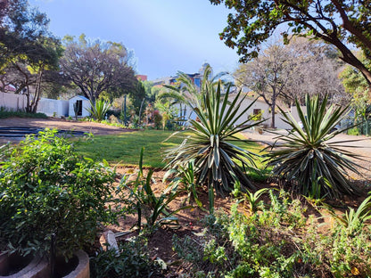 Atlantic Pearl Guest House Sandton, Palm Tree, Plant, Nature, Wood, Garden