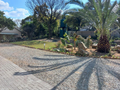 Atlantic Pearl Guest House Sandton, Palm Tree, Plant, Nature, Wood, Garden