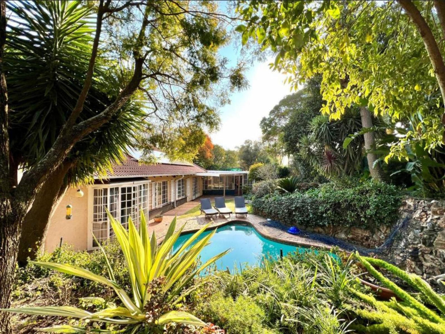 Atlantic Pearl Guest House Sandton, House, Building, Architecture, Palm Tree, Plant, Nature, Wood, Garden, Swimming Pool