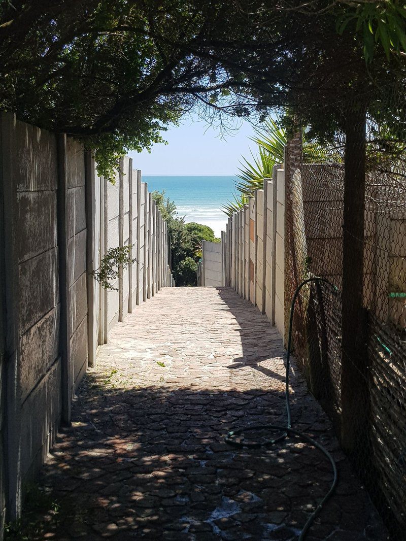 Atlantic Loft Apartments With Sea Views Van Riebeeckstrand Cape Town Western Cape South Africa Beach, Nature, Sand, Palm Tree, Plant, Wood, Framing, Garden