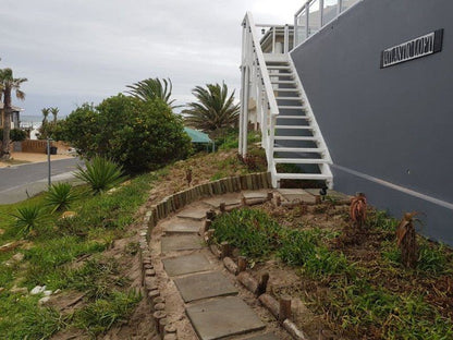 Atlantic Loft Apartments With Sea Views Van Riebeeckstrand Cape Town Western Cape South Africa Palm Tree, Plant, Nature, Wood