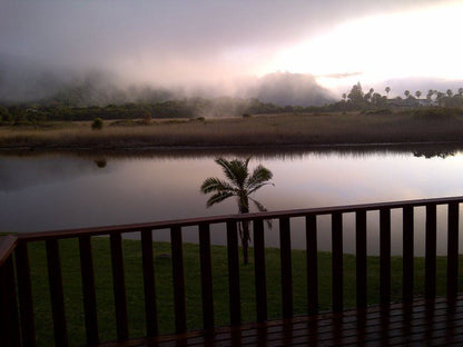 At Rest Wilderness Western Cape South Africa Palm Tree, Plant, Nature, Wood