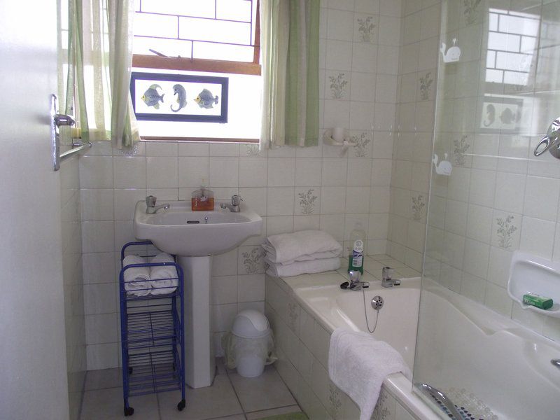 At Rikis Place Voelklip Hermanus Western Cape South Africa Unsaturated, Bathroom