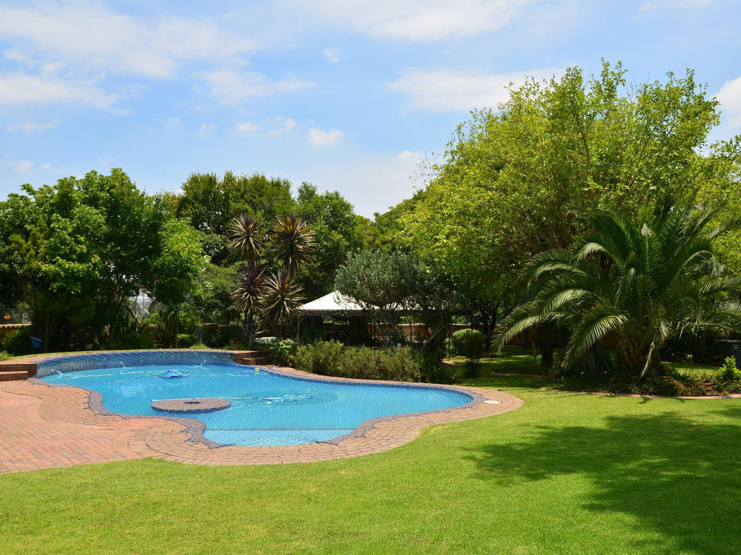 Attache Guest Lodge And Spa Midrand Johannesburg Gauteng South Africa Complementary Colors, Colorful, Palm Tree, Plant, Nature, Wood, Garden, Swimming Pool