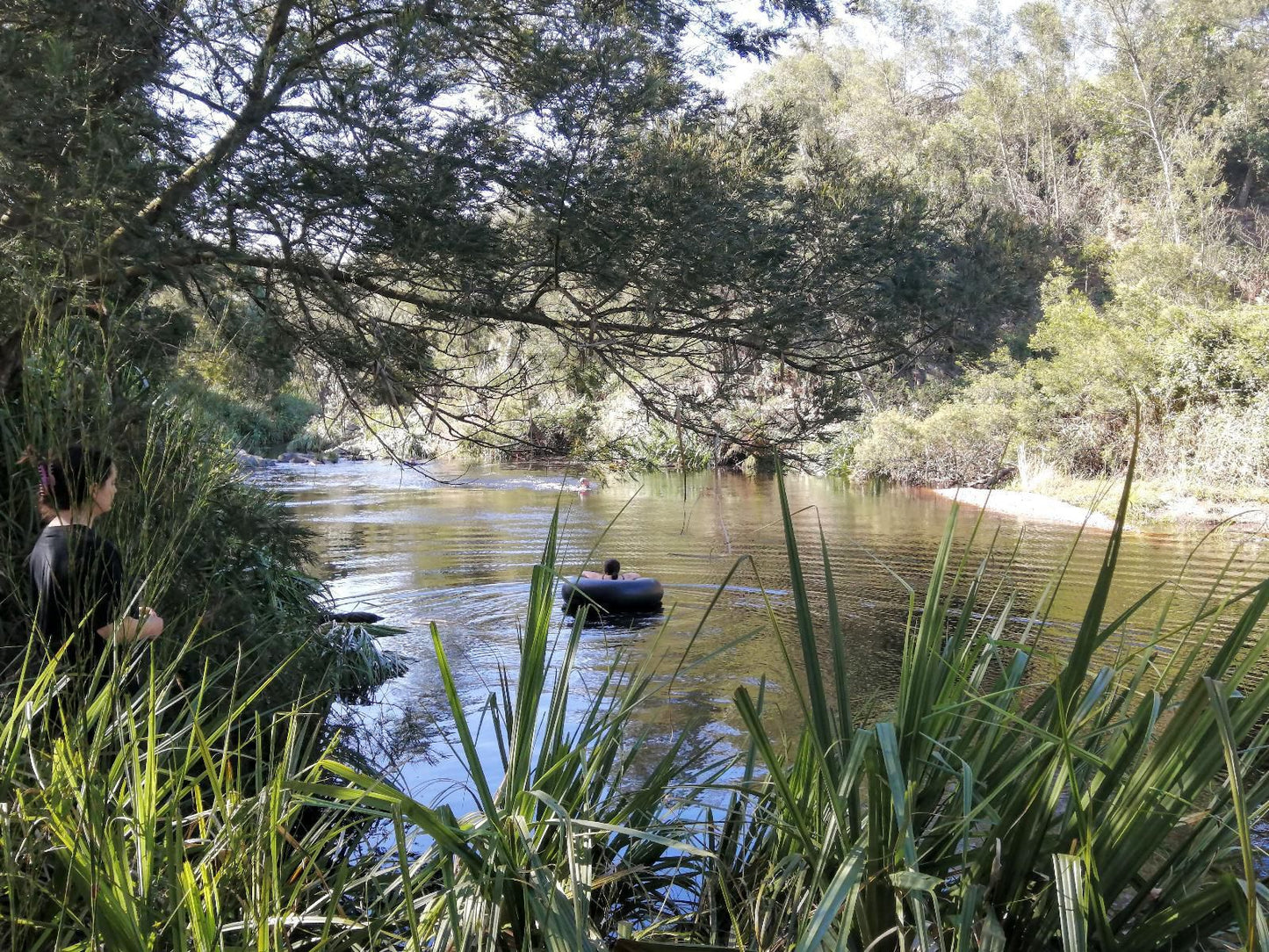 Atthedairyshed, Boat, Vehicle, River, Nature, Waters, Person