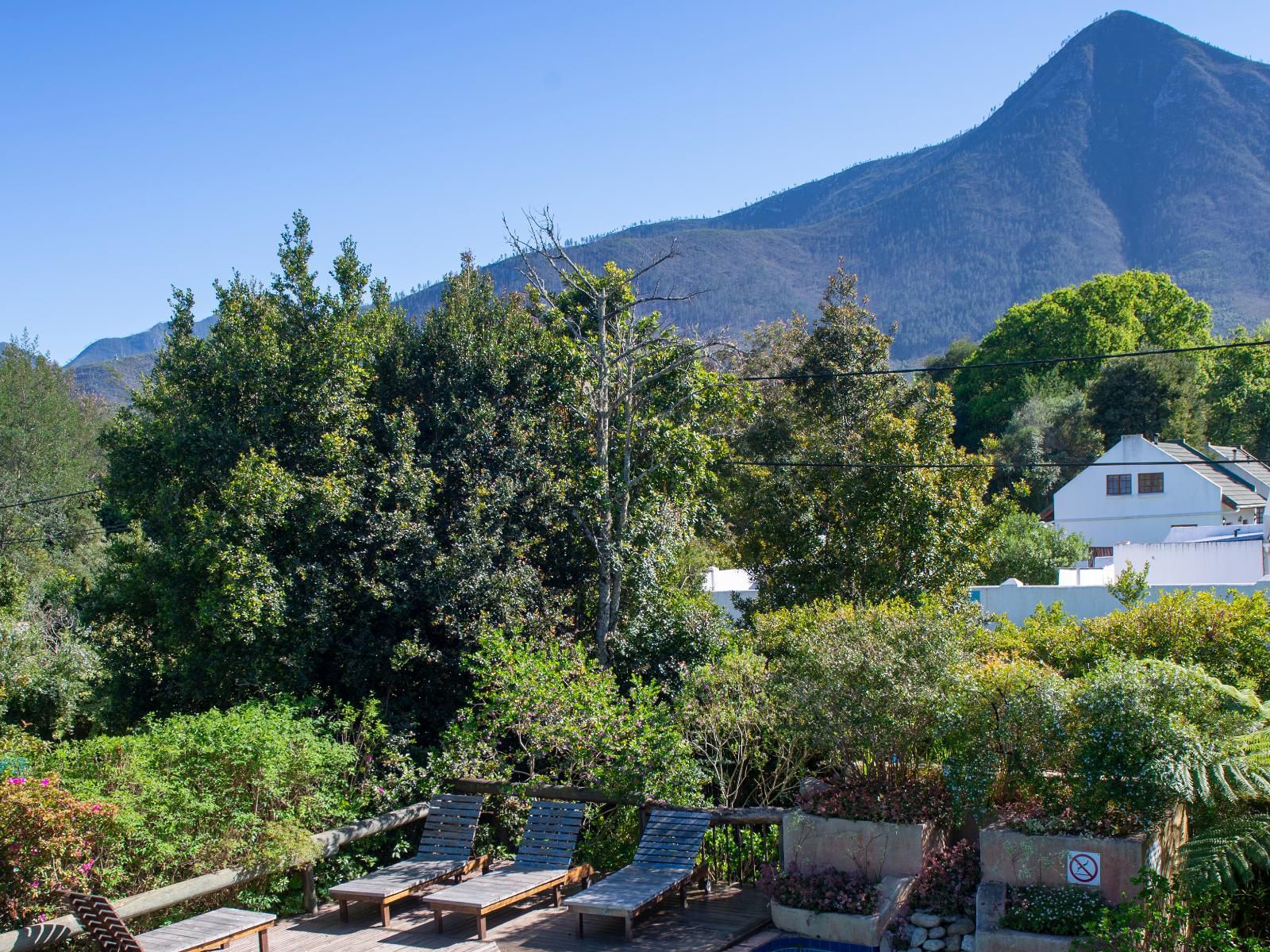 At The Woods Guest House Stormsriver Village Eastern Cape South Africa Complementary Colors, Mountain, Nature