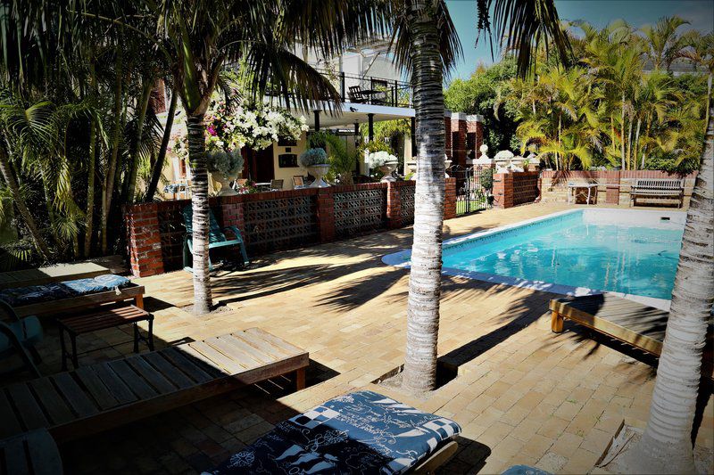 At Villa Fig Constantia Cape Town Western Cape South Africa Palm Tree, Plant, Nature, Wood, Swimming Pool