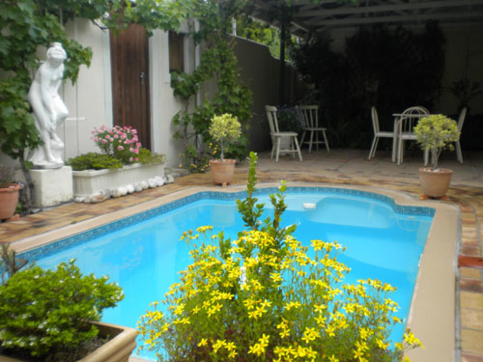 Auberge Alouette Franschhoek Western Cape South Africa Complementary Colors, Garden, Nature, Plant, Swimming Pool