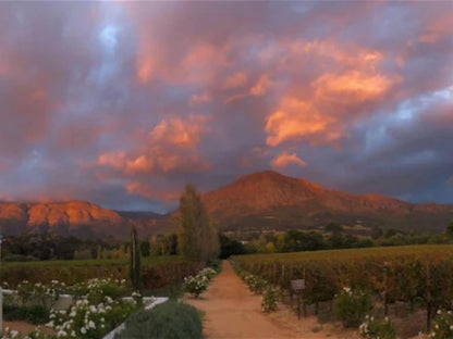 Auberge Clermont Franschhoek Western Cape South Africa Nature