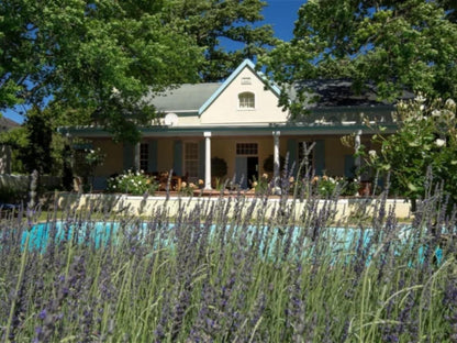 Auberge Clermont Franschhoek Western Cape South Africa House, Building, Architecture, Garden, Nature, Plant