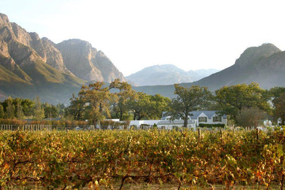 Auberge La Dauphine Franschhoek Western Cape South Africa Mountain, Nature, Highland