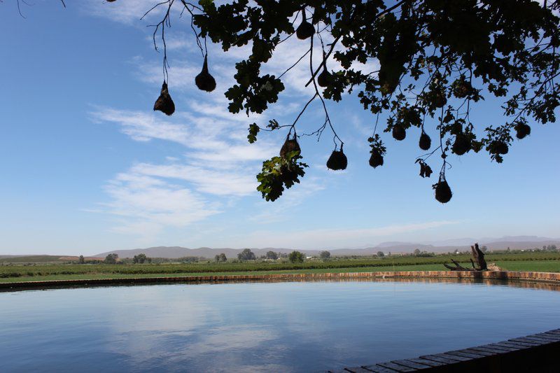 Audrey S Vineyard Cottage And Homestead Nuy Western Cape South Africa Lake, Nature, Waters, Tree, Plant, Wood