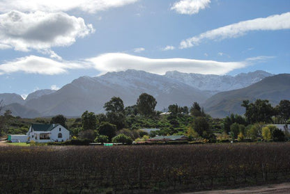 Audrey S Vineyard Cottage And Homestead Nuy Western Cape South Africa Mountain, Nature, Highland
