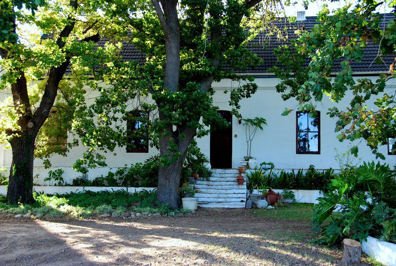 Audrey S Vineyard Cottage And Homestead Nuy Western Cape South Africa Building, Architecture, House, Garden, Nature, Plant