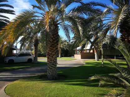 Augrabies Falls Lodge And Camp Augrabies Northern Cape South Africa Beach, Nature, Sand, Palm Tree, Plant, Wood, Swimming Pool, Car, Vehicle