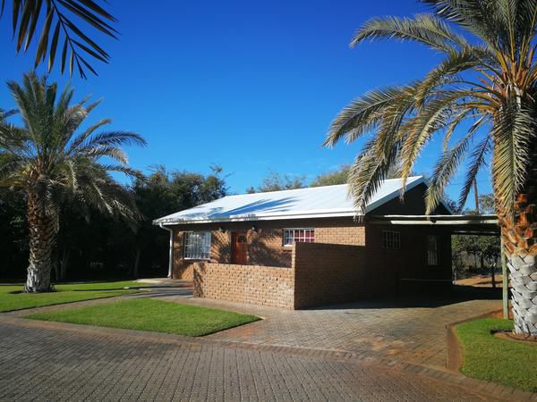 Augrabies Falls Lodge And Camp Augrabies Northern Cape South Africa Palm Tree, Plant, Nature, Wood, Framing