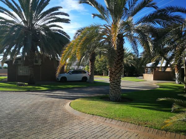 Augrabies Falls Lodge And Camp Augrabies Northern Cape South Africa Beach, Nature, Sand, Palm Tree, Plant, Wood, Desert