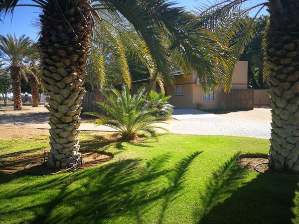Augrabies Falls Lodge And Camp Augrabies Northern Cape South Africa Palm Tree, Plant, Nature, Wood, Garden, Swimming Pool