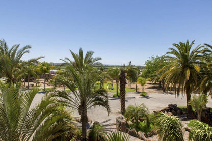 Augrabies Falls Lodge And Camp Augrabies Northern Cape South Africa Complementary Colors, Palm Tree, Plant, Nature, Wood