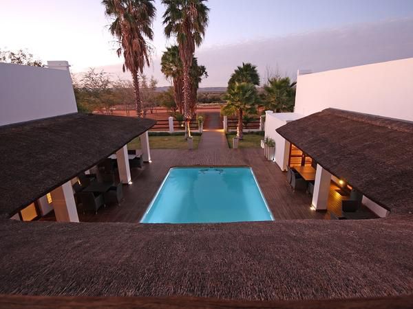 Dundi Lodge Augrabies Falls Augrabies Northern Cape South Africa Palm Tree, Plant, Nature, Wood, Swimming Pool