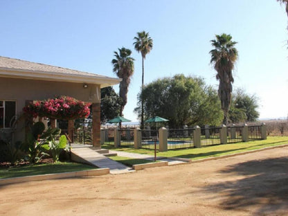 Augrabies Valle Guesthouse And Camping Augrabies Northern Cape South Africa Complementary Colors, Palm Tree, Plant, Nature, Wood