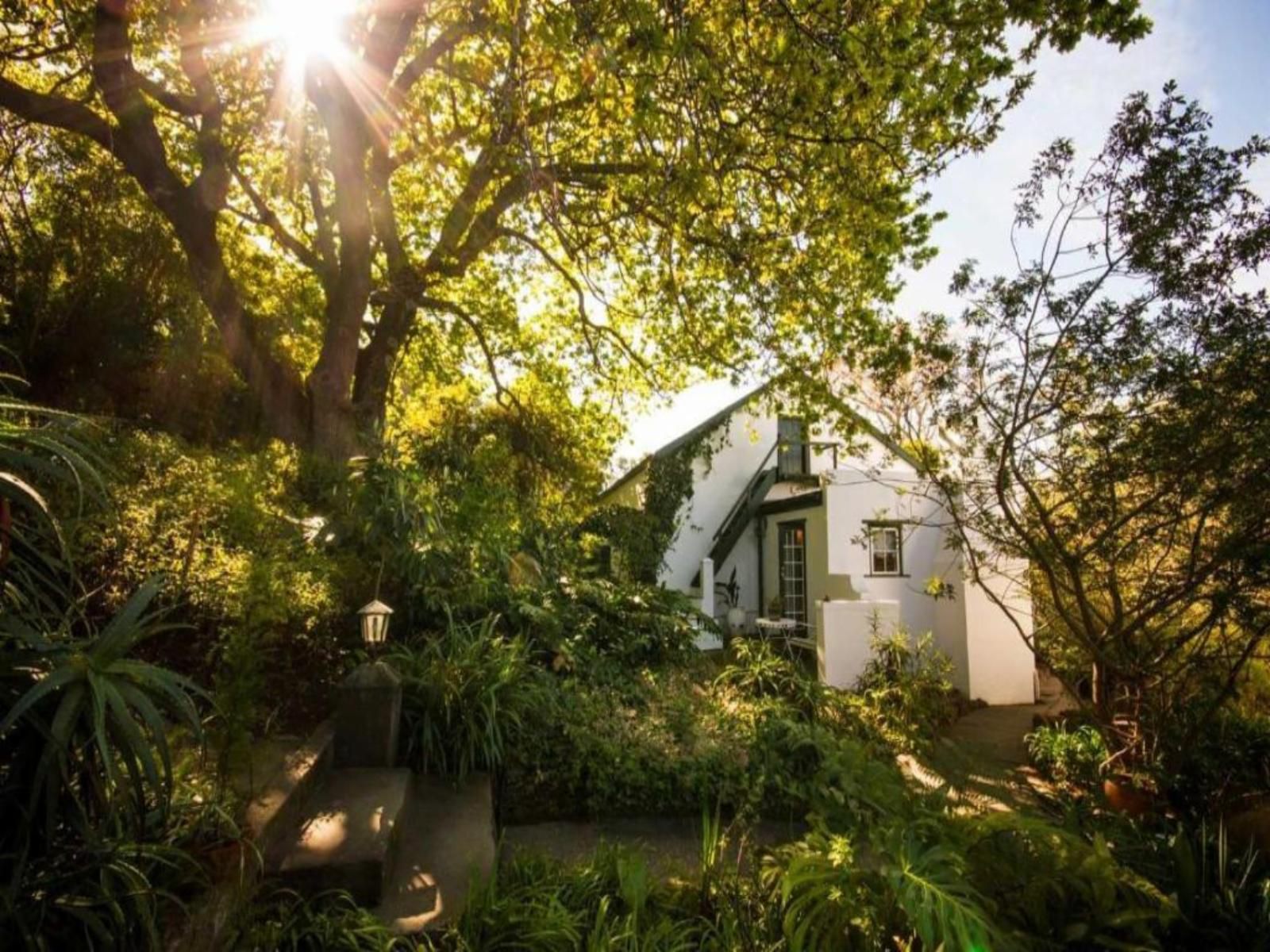 Augusta De Mist Country House Swellendam Western Cape South Africa House, Building, Architecture, Plant, Nature, Garden