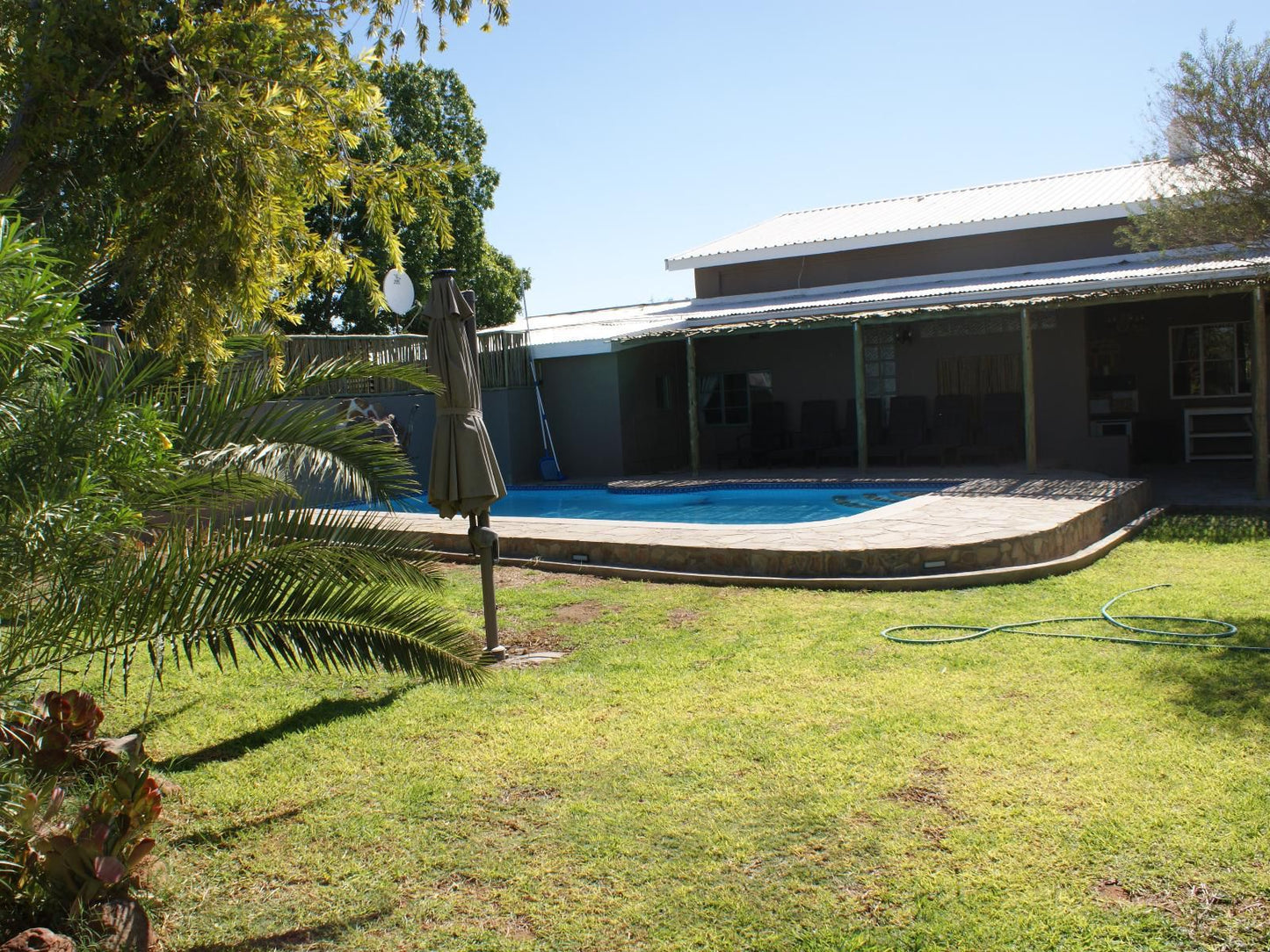 Auld Casa Guesthouse, Palm Tree, Plant, Nature, Wood, Swimming Pool