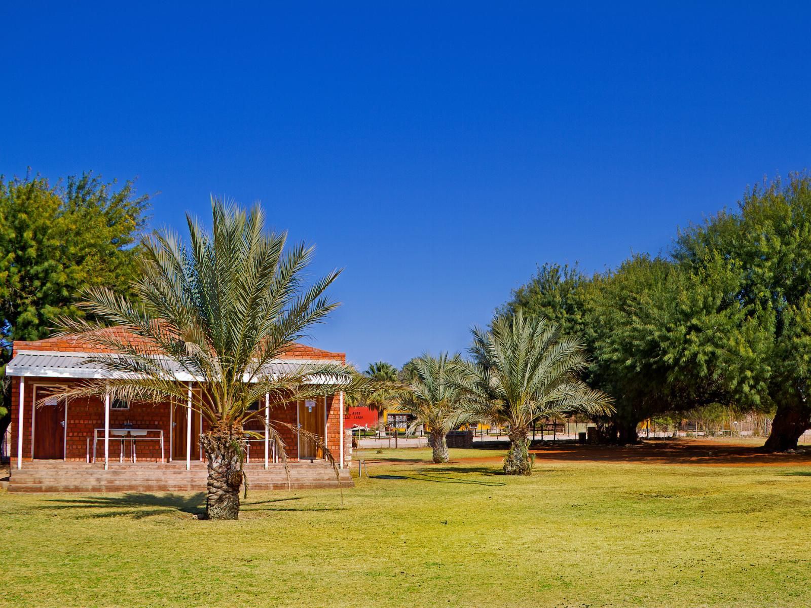 Auob Country Lodge, Standard Twin Room, Colorful, Palm Tree, Plant, Nature, Wood, Desert, Sand