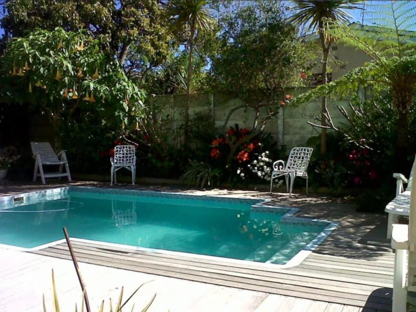 Auriols Guest House Parow Cape Town Western Cape South Africa Garden, Nature, Plant, Swimming Pool