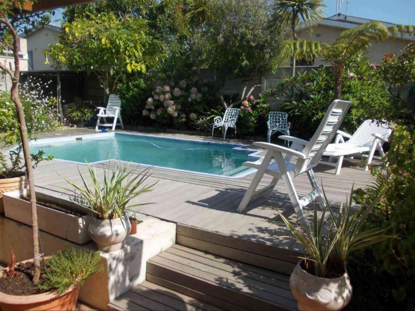 Auriols Guest House Parow Cape Town Western Cape South Africa Palm Tree, Plant, Nature, Wood, Garden, Swimming Pool