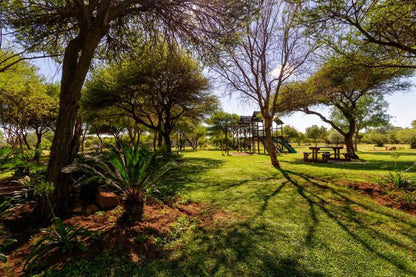 Autumn Dreams Dinokeng Game Reserve Gauteng South Africa Plant, Nature, Garden