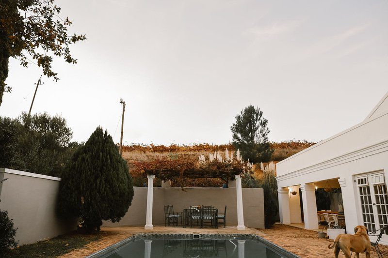 Autumn Lane Paarl Western Cape South Africa Swimming Pool