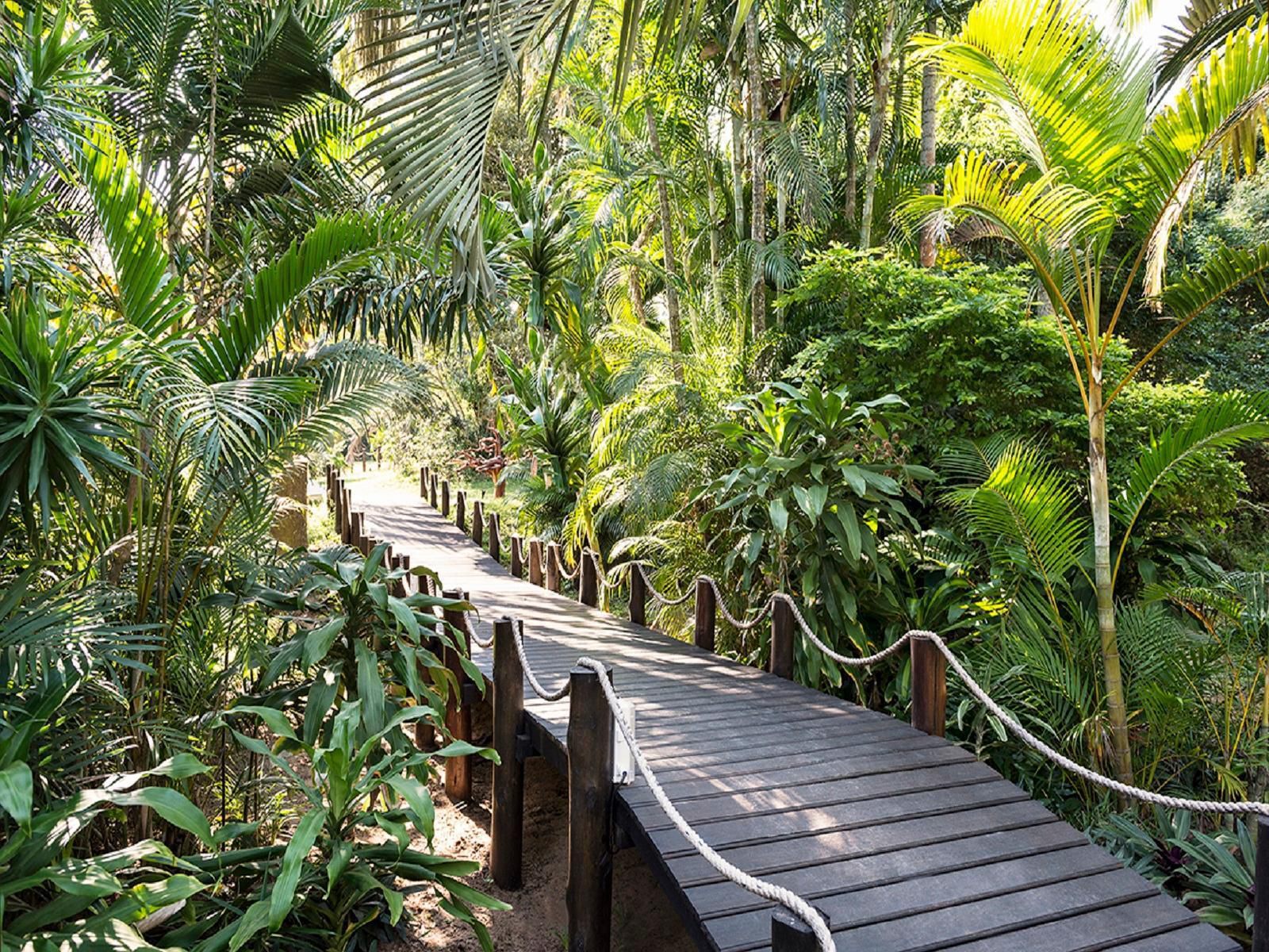 Avalone Guest House St Lucia Kwazulu Natal South Africa Palm Tree, Plant, Nature, Wood, Garden