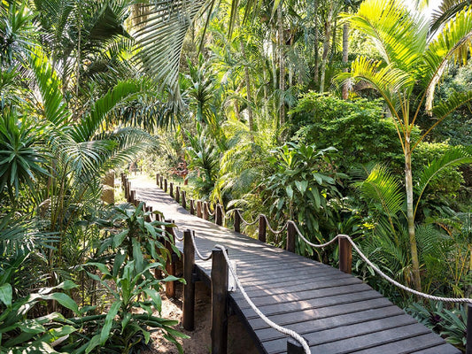 Avalone Guest House St Lucia Kwazulu Natal South Africa Palm Tree, Plant, Nature, Wood, Garden