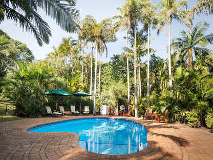 Avalone Guest House St Lucia Kwazulu Natal South Africa Palm Tree, Plant, Nature, Wood, Swimming Pool