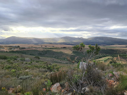 Avani Lodge Private Nature Reserve Bot River Bot River Western Cape South Africa Nature