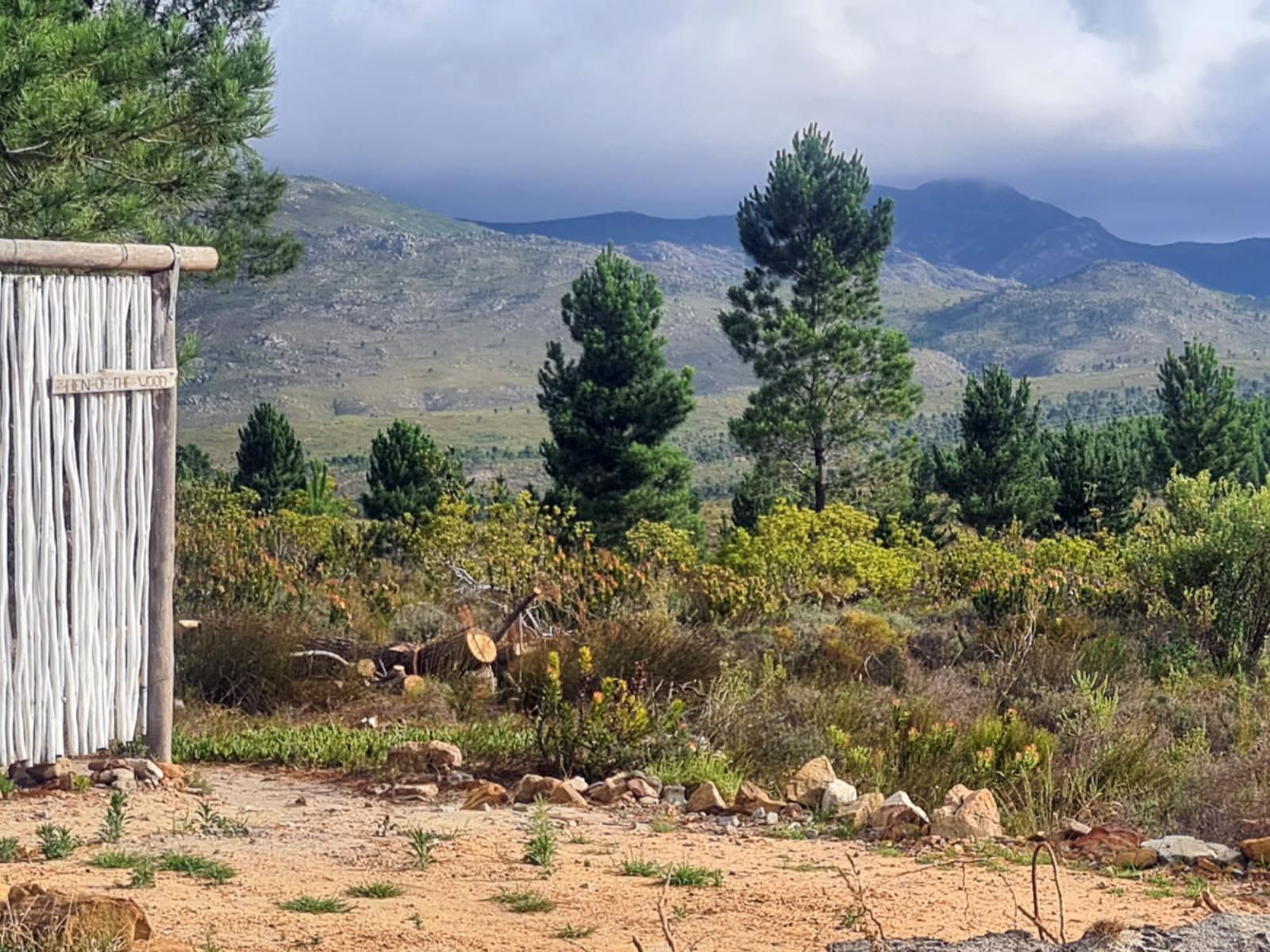 Avani Lodge Private Nature Reserve Bot River Bot River Western Cape South Africa Complementary Colors, Nature