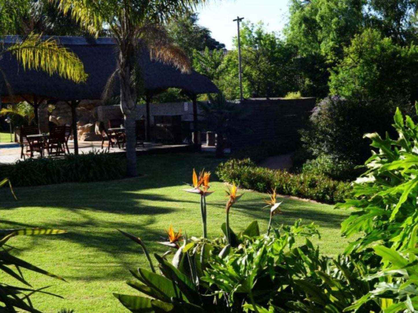 Avant Garde Lodge Kempton Park Johannesburg Gauteng South Africa Palm Tree, Plant, Nature, Wood, Garden