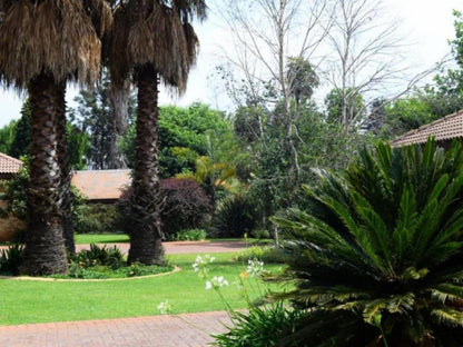 Avant Garde Lodge Kempton Park Johannesburg Gauteng South Africa Palm Tree, Plant, Nature, Wood, Garden