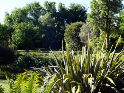 Avant Garde Lodge Kempton Park Johannesburg Gauteng South Africa Plant, Nature, Garden