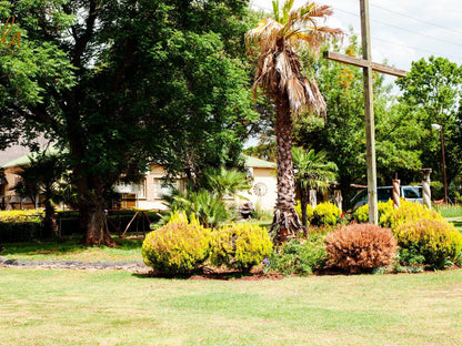 Avela Hekpoort Krugersdorp North West Province South Africa Palm Tree, Plant, Nature, Wood