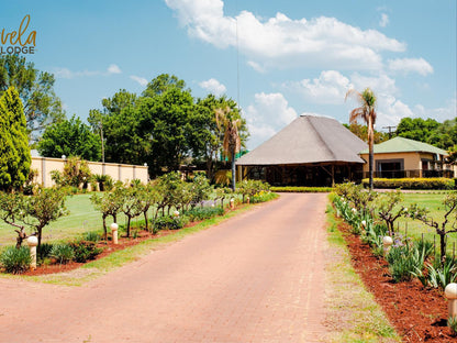 Avela Hekpoort Krugersdorp North West Province South Africa Complementary Colors, Palm Tree, Plant, Nature, Wood