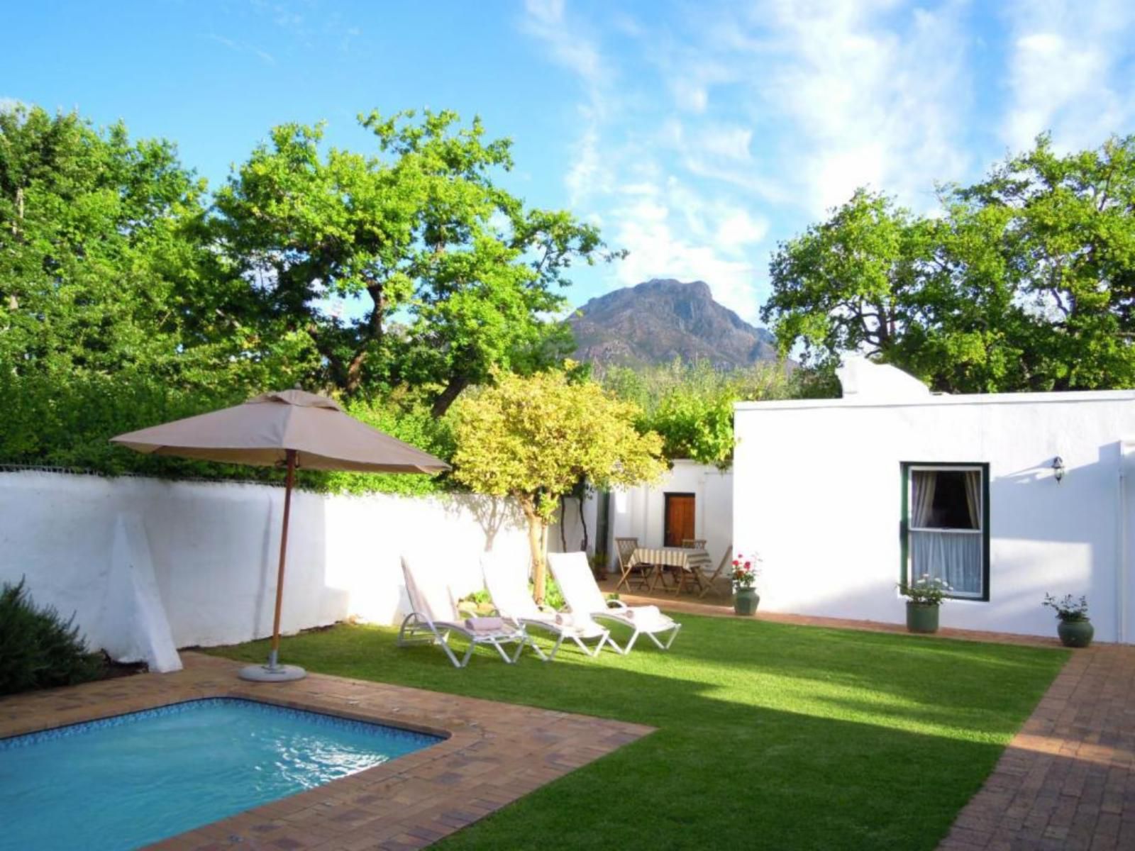 Avenues Guest House Stellenbosch Western Cape South Africa Complementary Colors, Swimming Pool