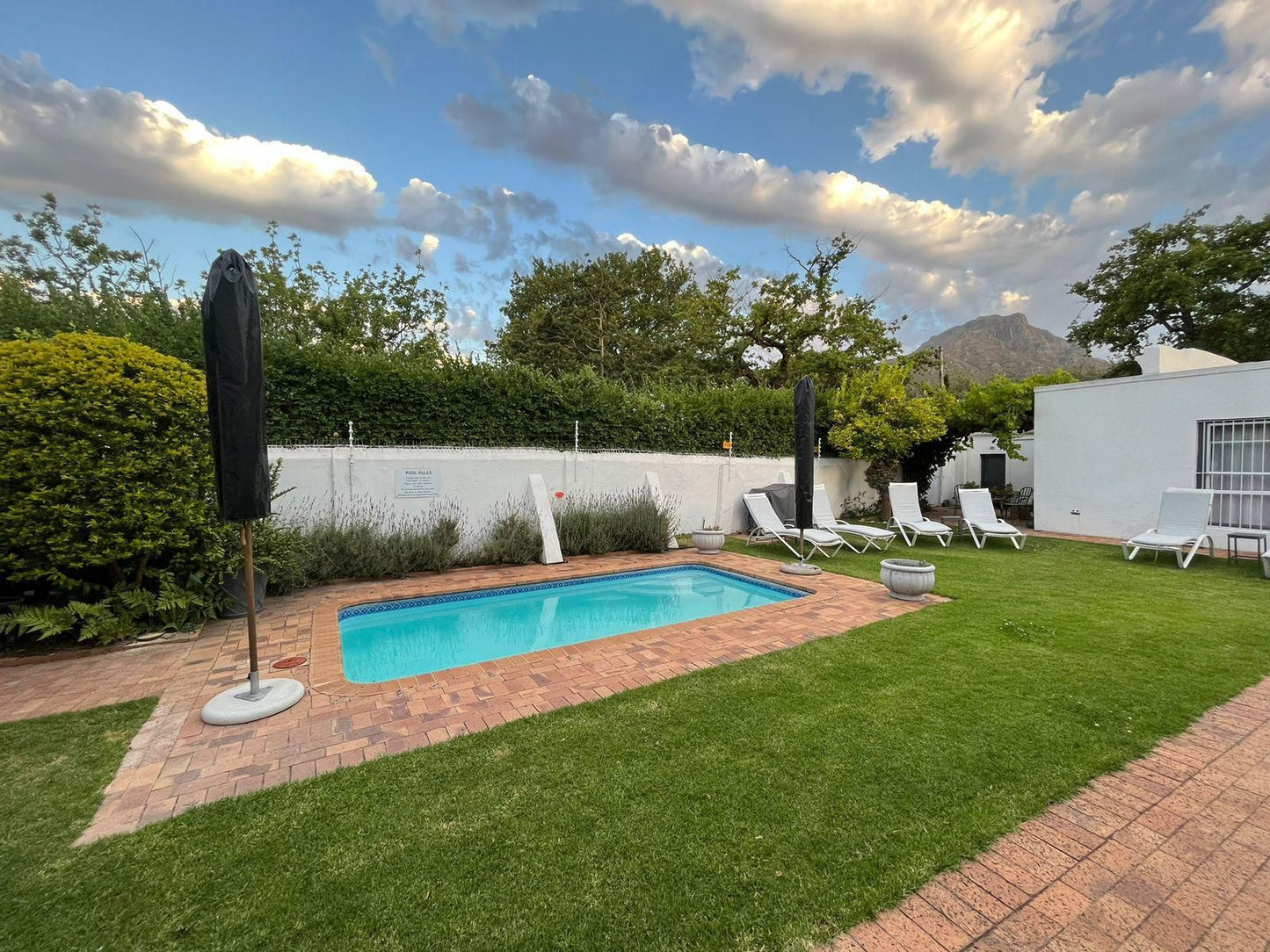Avenues Guest House Stellenbosch Western Cape South Africa Garden, Nature, Plant, Swimming Pool