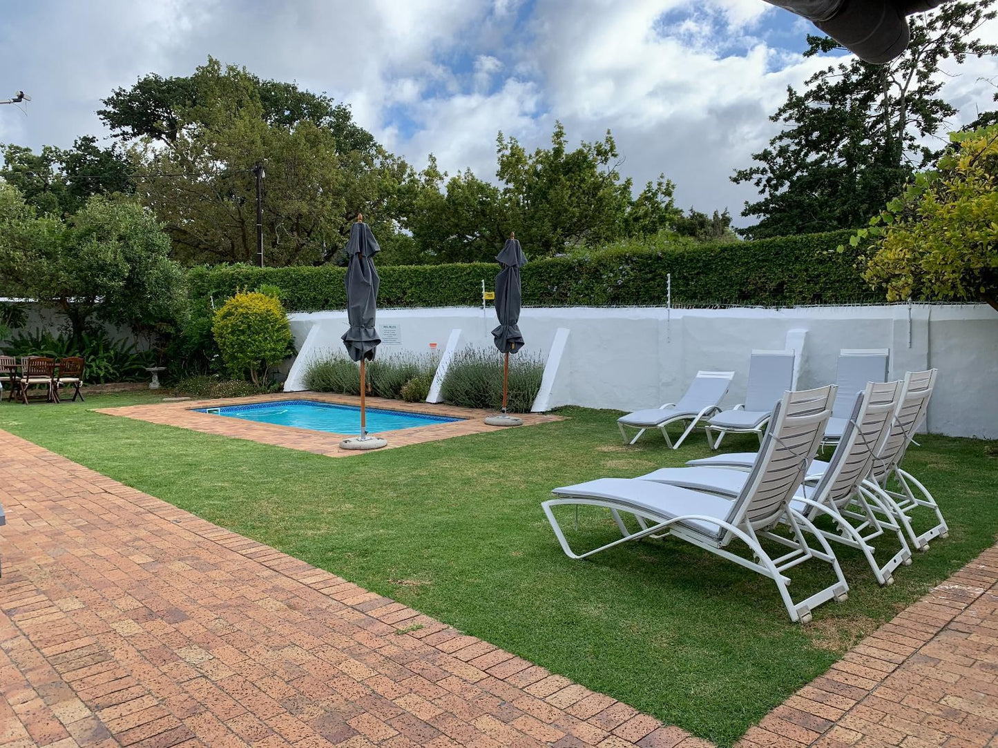 Avenues Guest House Stellenbosch Western Cape South Africa Complementary Colors, Garden, Nature, Plant, Swimming Pool