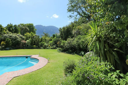 Avenue Torquay Claremont Cape Town Western Cape South Africa Complementary Colors, Palm Tree, Plant, Nature, Wood, Garden, Swimming Pool