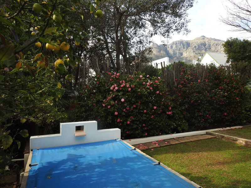 Avignon Manor House Paradyskloof Stellenbosch Western Cape South Africa Garden, Nature, Plant, Swimming Pool